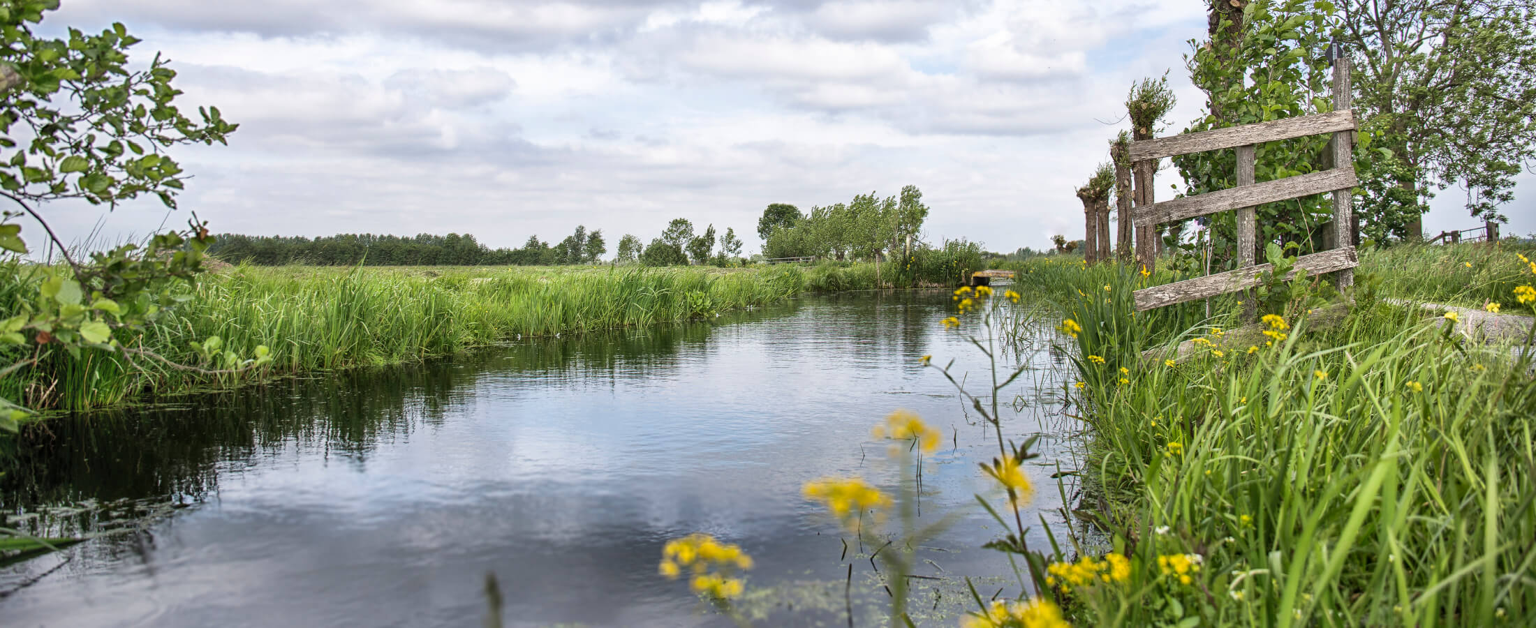 weidehof krimpenerwaard landschap