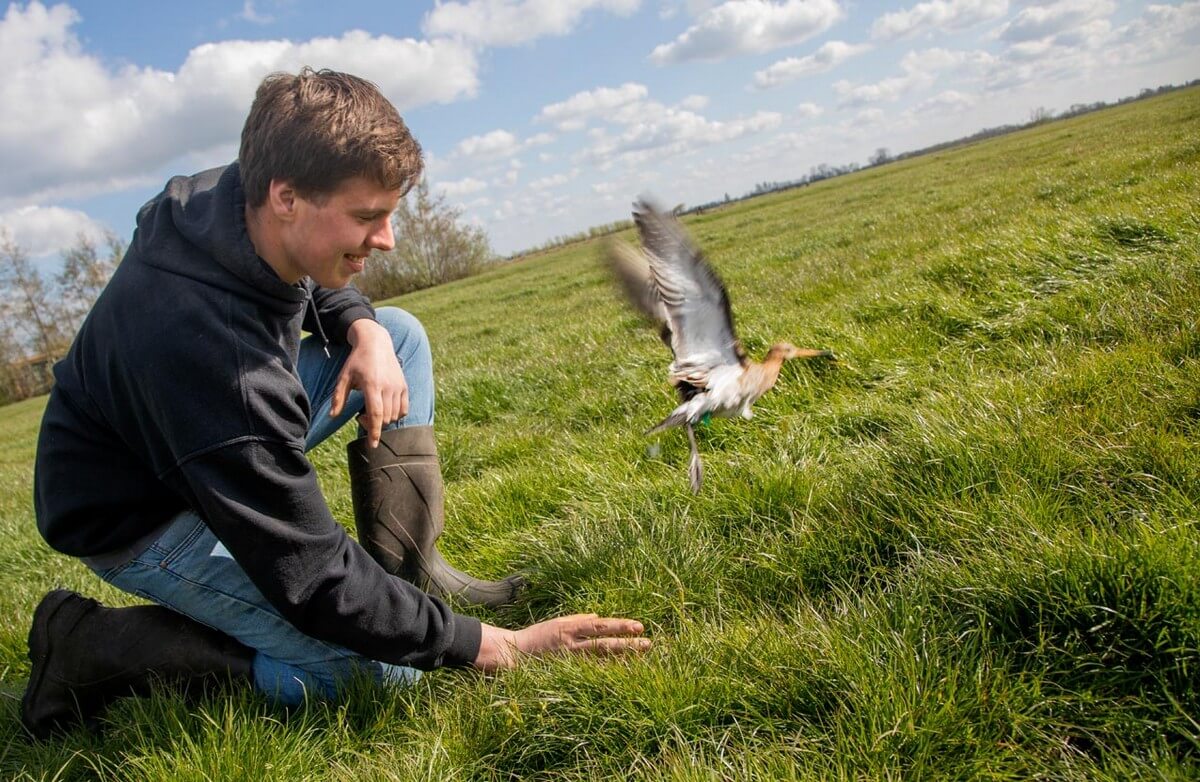 Familie de Jong uit Vlist weidevogelboer van het jaar 2021!