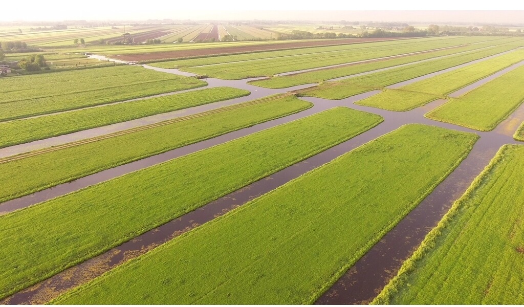 weidehof krimpenerwaard017