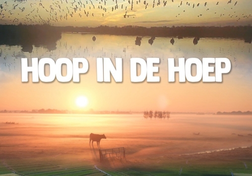 Filmvertoning : Hoop in de Hoep