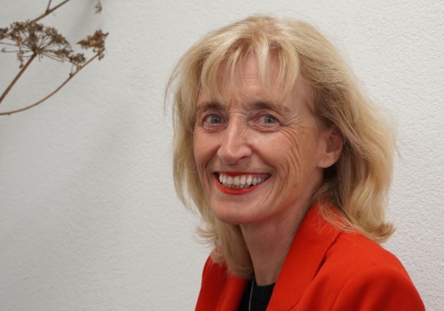 Blog Tineke Hoekstra: mijn eerste jaar als veldcoördinator bij Weidehof 