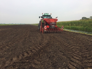 Inzaaien_kruidenrijk_Bergambacht_11-09-19_bewerkt